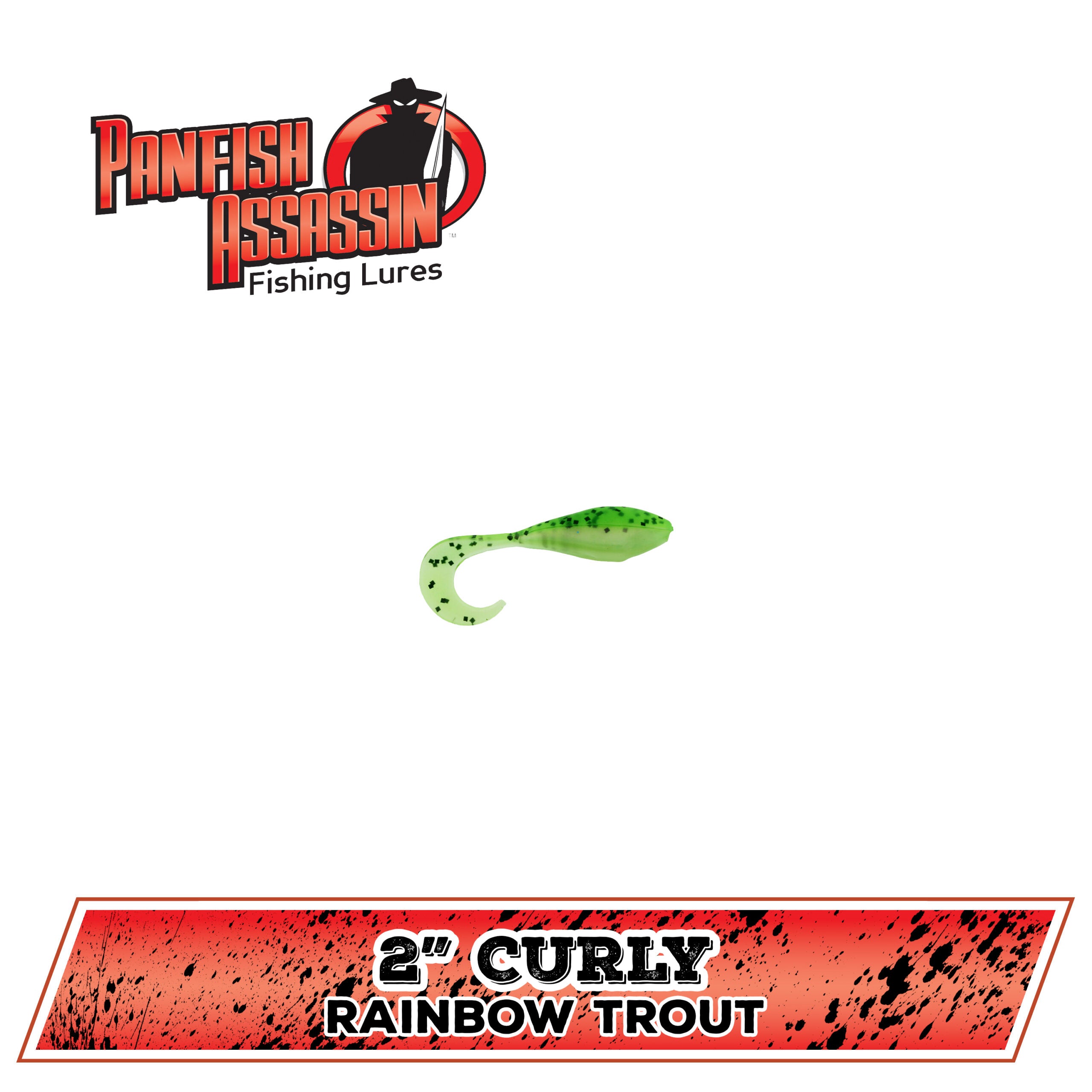 2" Curly Shad
