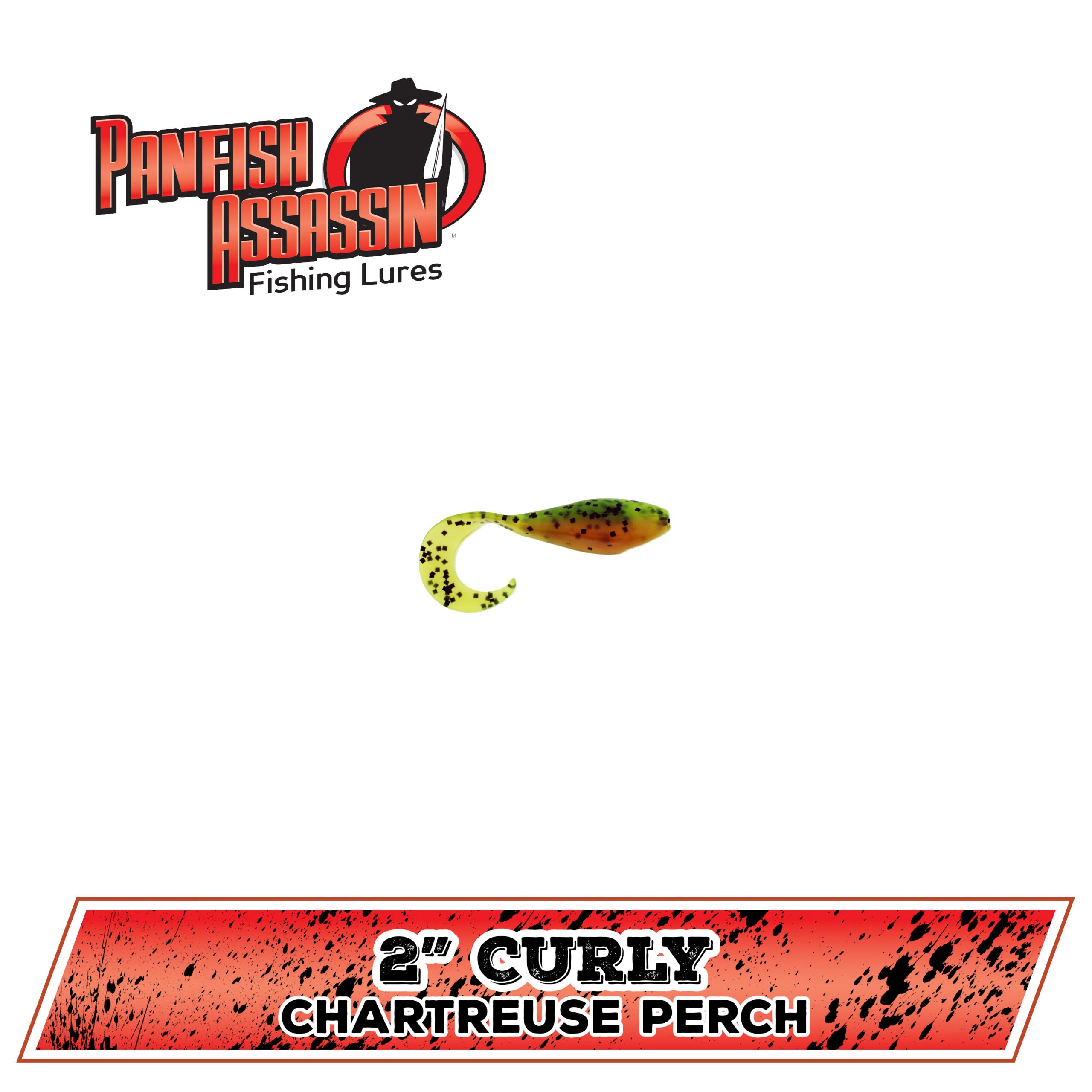 2" Curly Shad