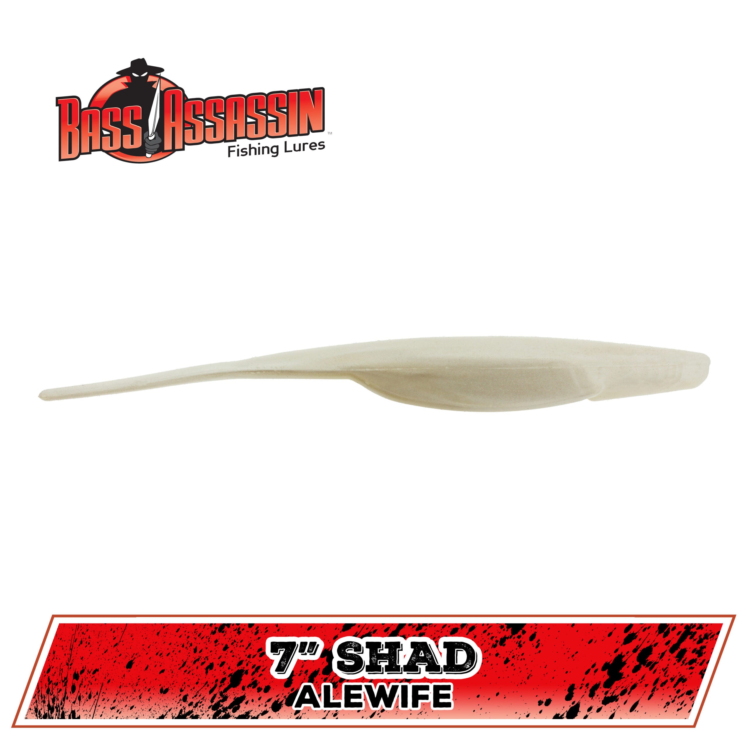 7" Shad