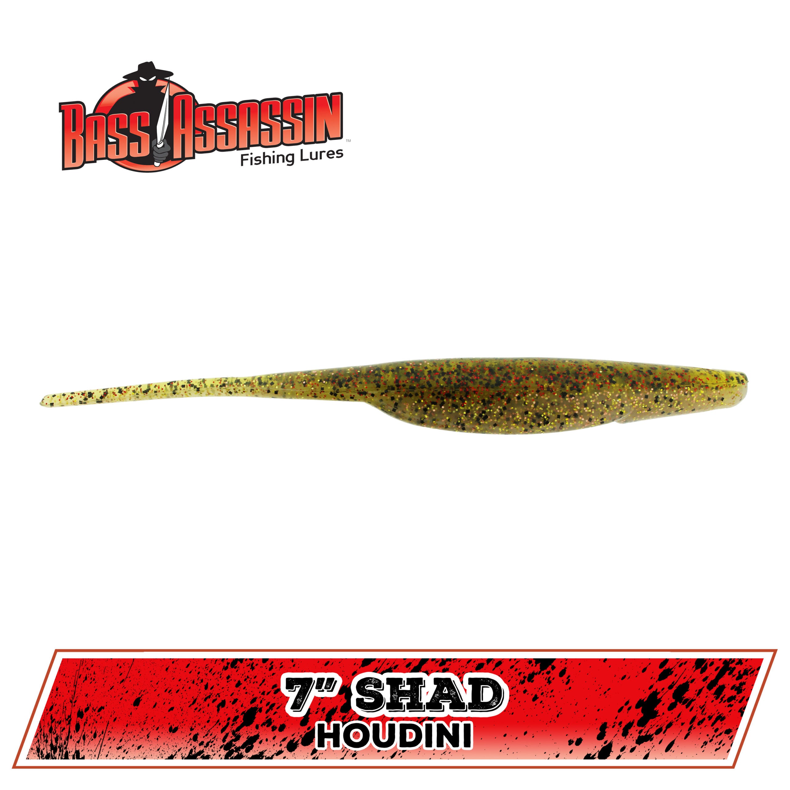 7" Shad