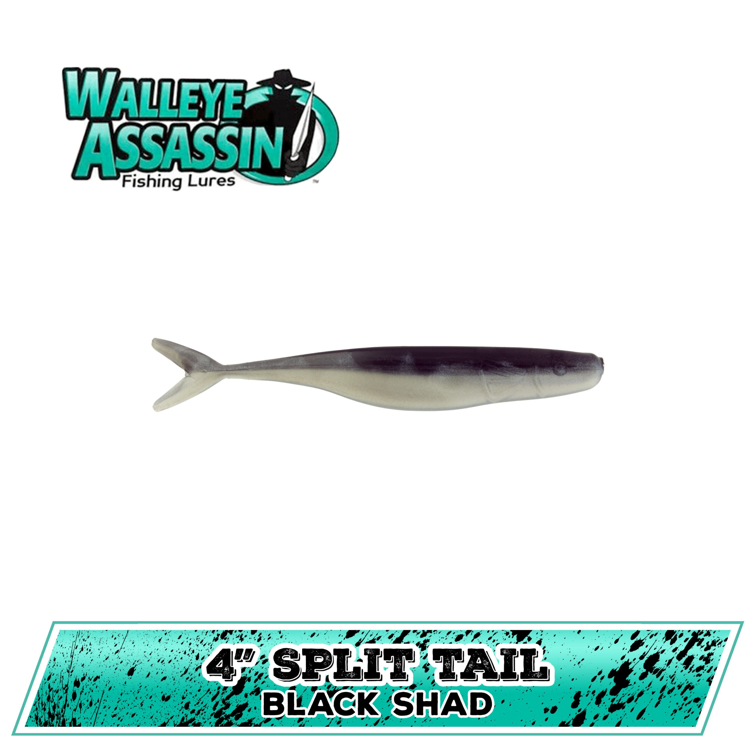 4" WE Split Tail Shad