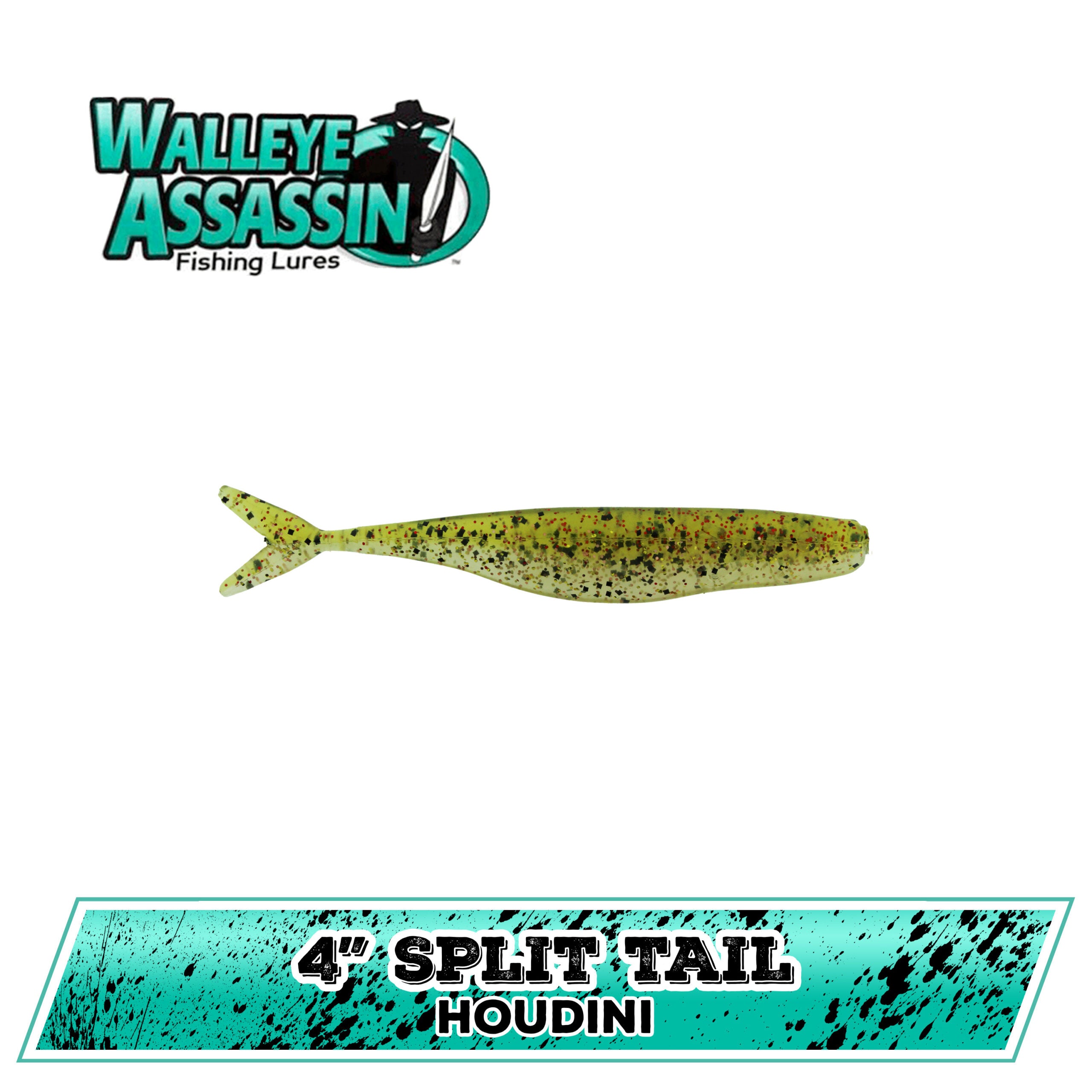 4" WE Split Tail Shad