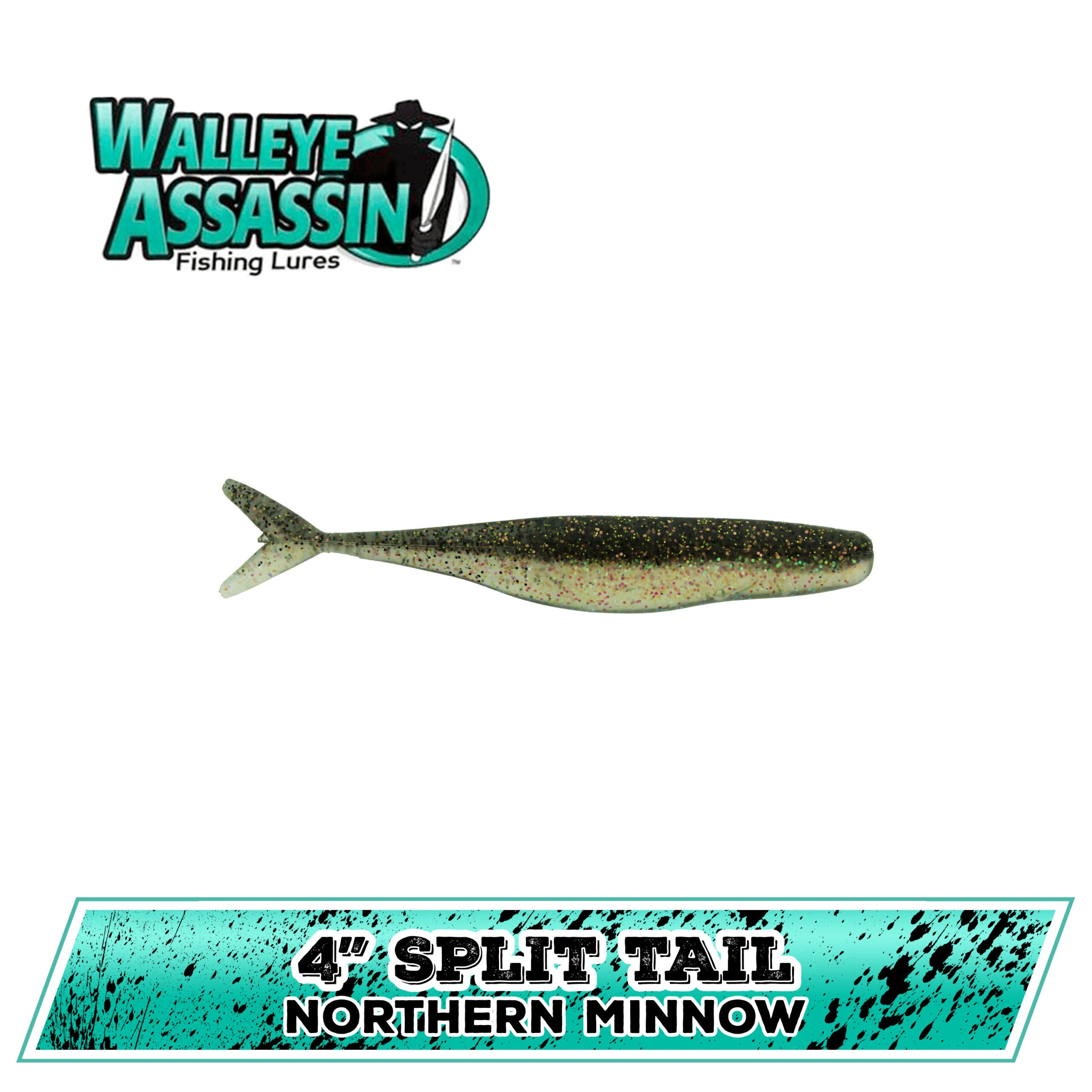 4" WE Split Tail Shad