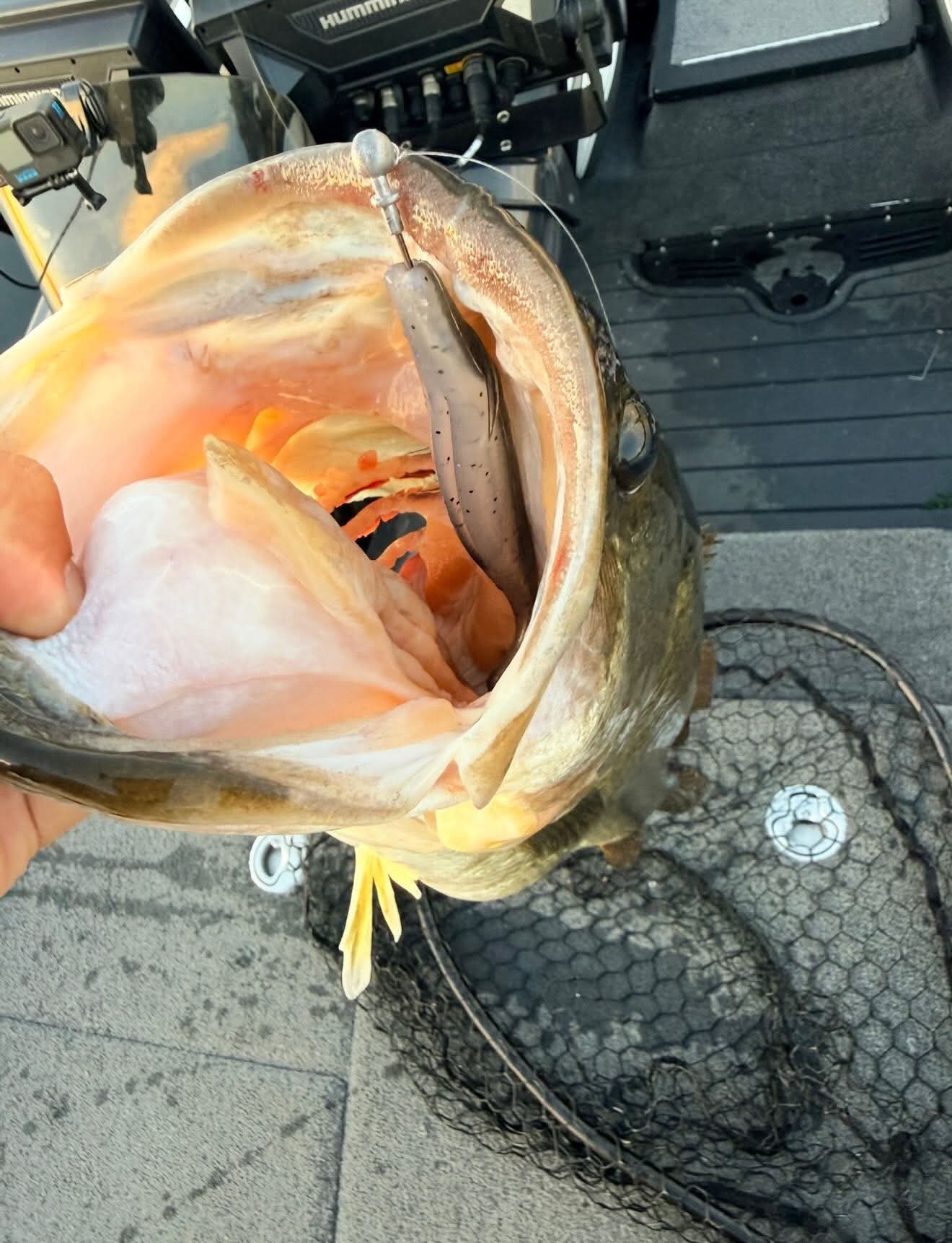 The Smart Angler's Guide to Choosing the Right Bait