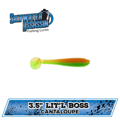 3.5&quot; SW Lit&