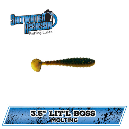 3.5&quot; SW Lit&