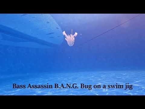 3.5&quot; B.A.N.G. ® Bug